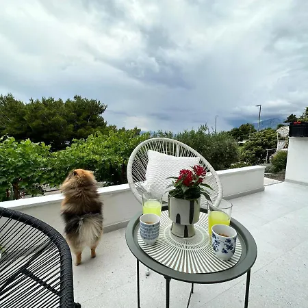 Olive View Apartman *