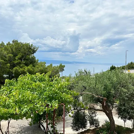 Olive View Apartman *