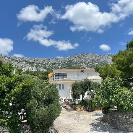 Olive View *