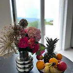 Olive View - Pet Friendly Διαμέρισμα *