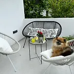 Olive View - Pet Friendly *
