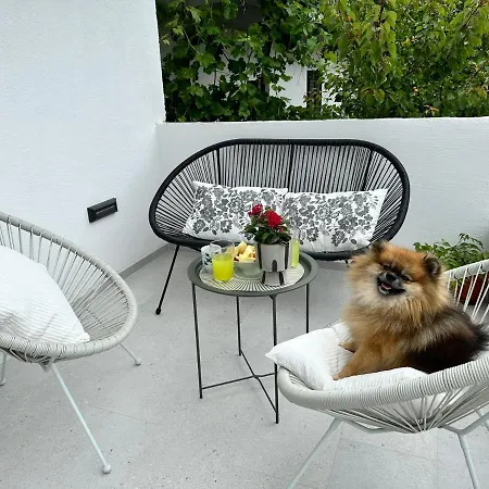 Olive View - Pet Friendly *