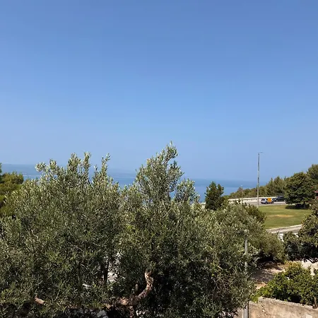 Olive View - Pet Friendly