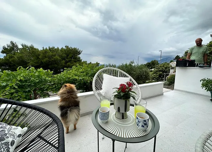 Olive View - Pet Friendly Appartement *