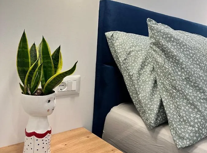 Olive View - Pet Friendly Appartement