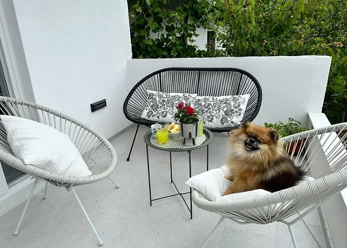 Olive View - Pet Friendly *