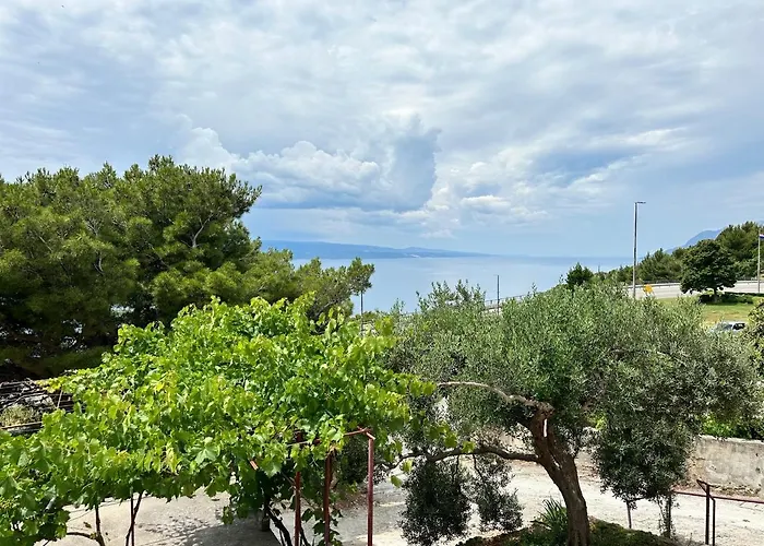 Olive View - Pet Friendly Appartement *
